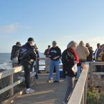 Cambria_0173 (November 05, 2011)